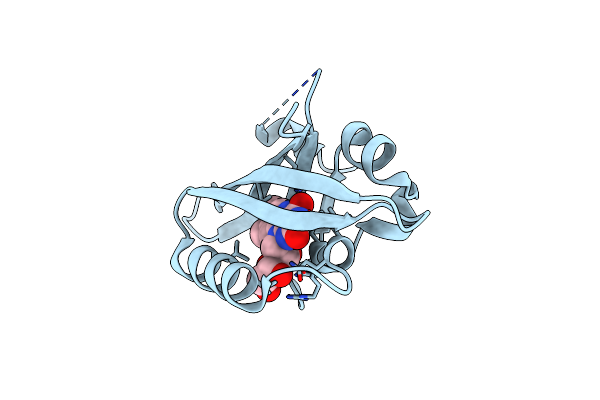 4KUO image
