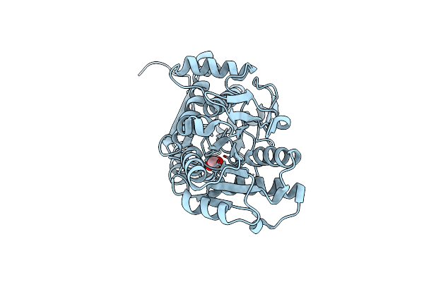4KV7 image