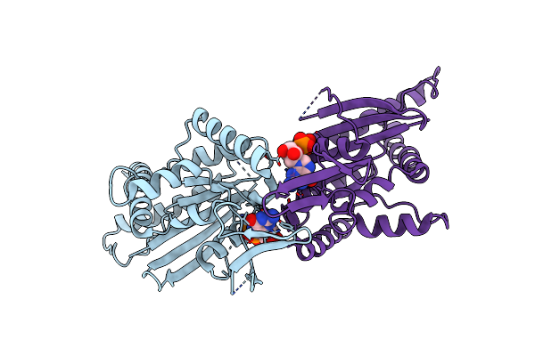 4KV9 image