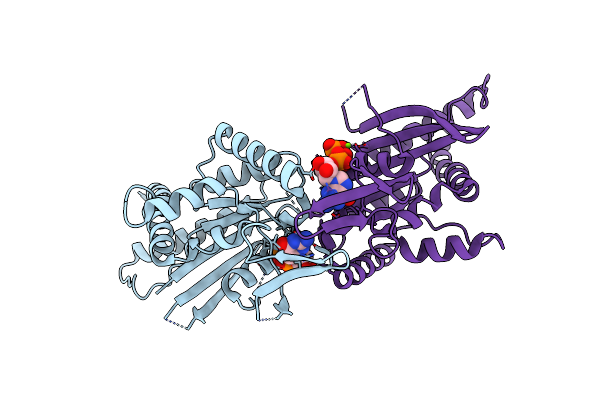 4KVA image