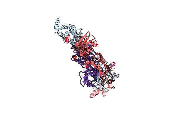 4KVN image