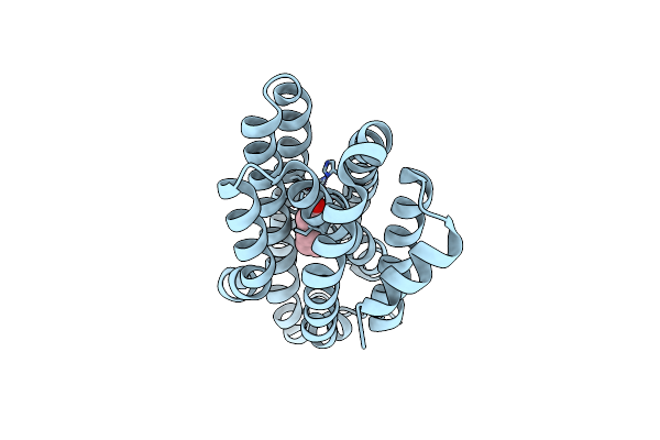 4KVS image