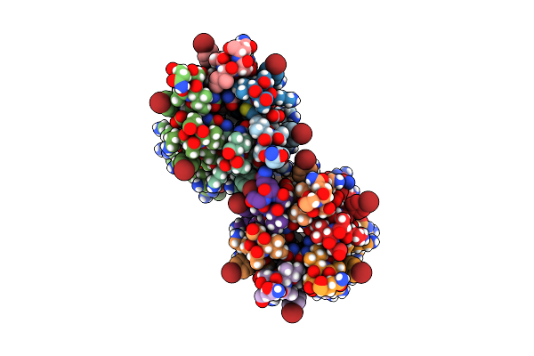 4KVV image
