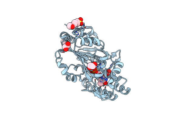 4KX3 image