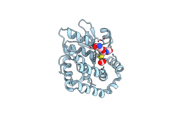 4KX4 image