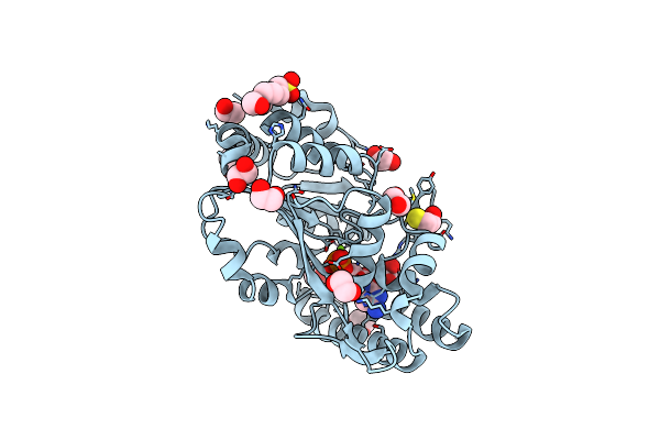4KX5 image