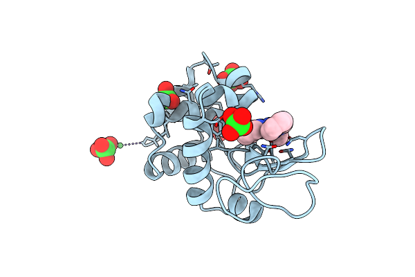 4KXI image