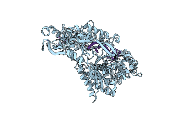 4KXT image