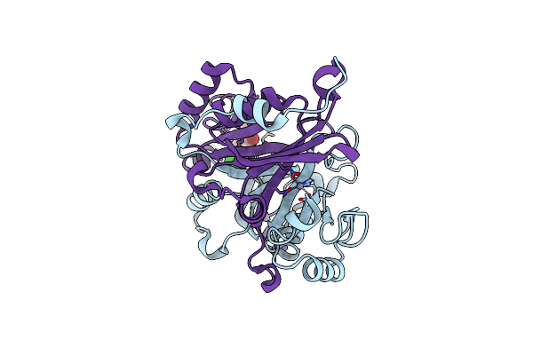 4KYK image