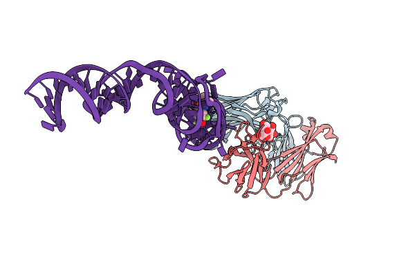 4KZD image