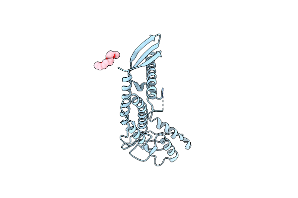 4KZS image