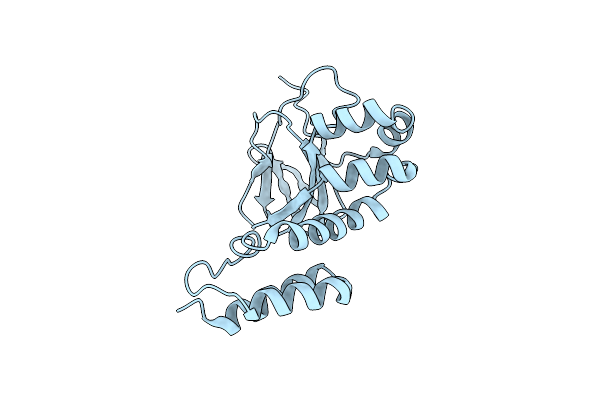 4L11 image