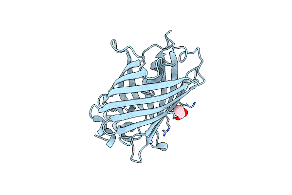 4L13 image