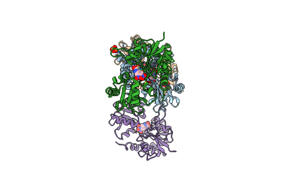 4L17 image