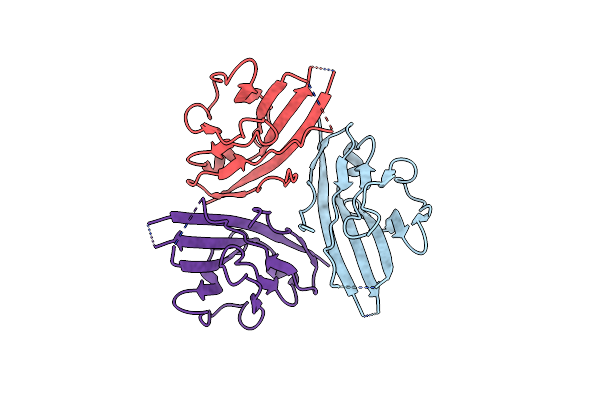 4L1D image