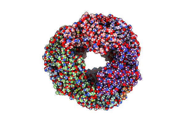 4L1E image