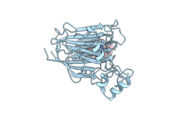 4L20 image