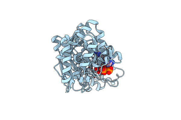 4L2H image