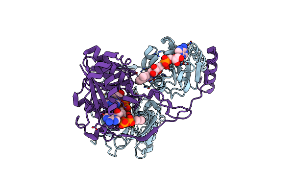 4L2I image