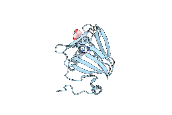 4L2N image