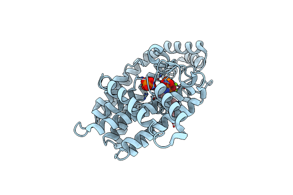 4L2X image