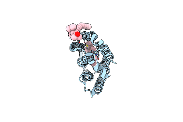 4L35 image