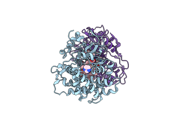 4L36 image