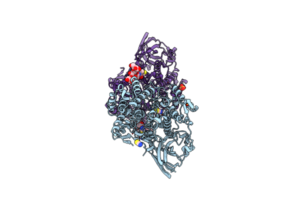 4L37 image