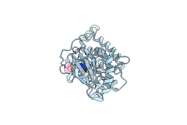 4L3P image