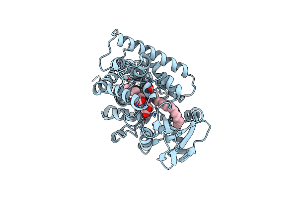 4L40 image