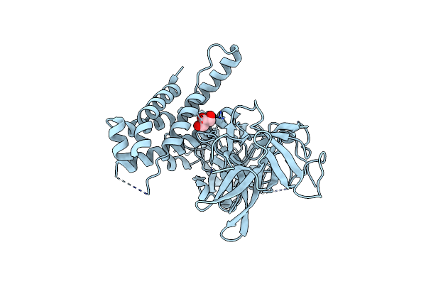 4L4I image