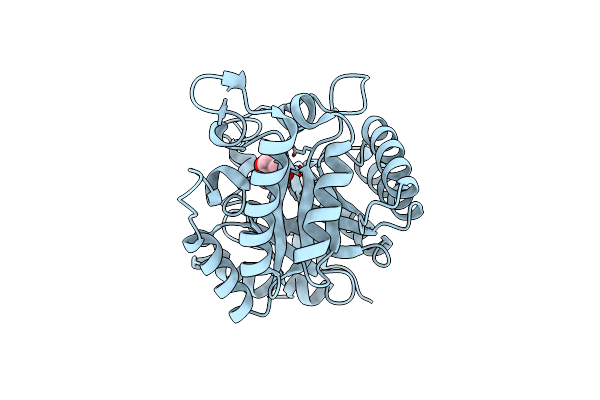 4L4O image