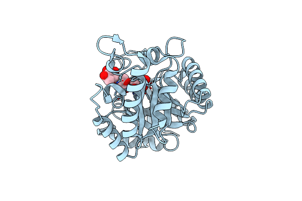 4L4P image