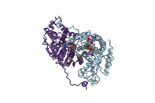 4L4S image