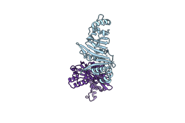 4L4W image