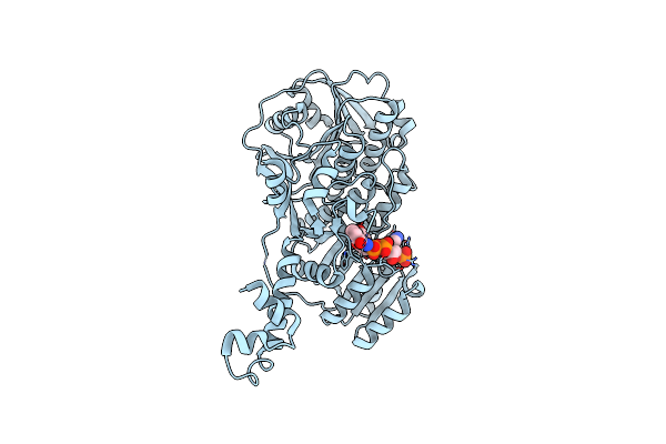 4L4X image