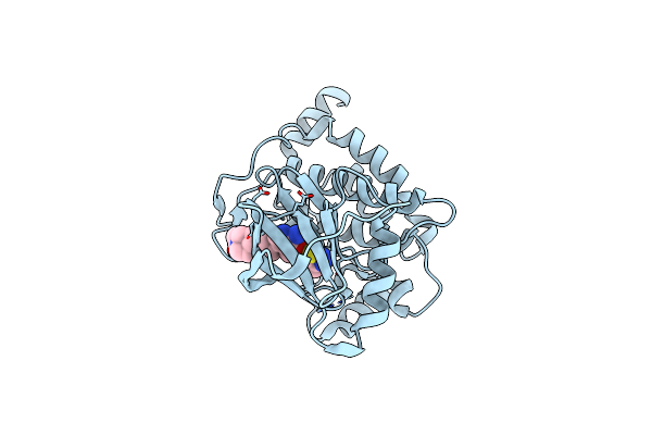 4L52 image