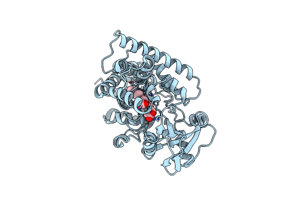 4L54 image