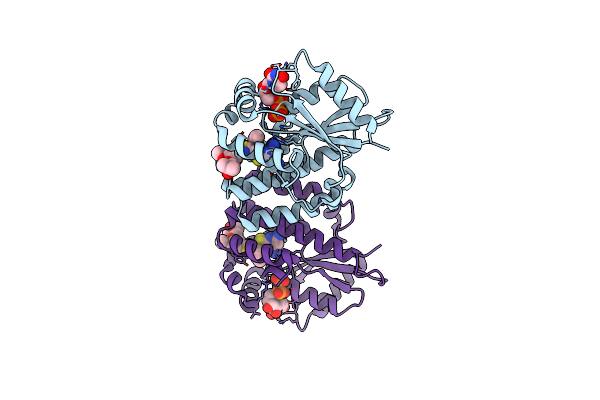 4L5B image