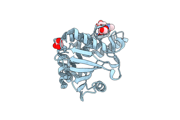 4L66 image