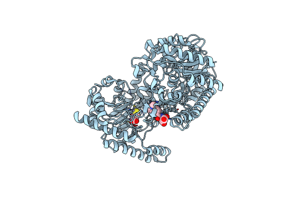 4L6H image