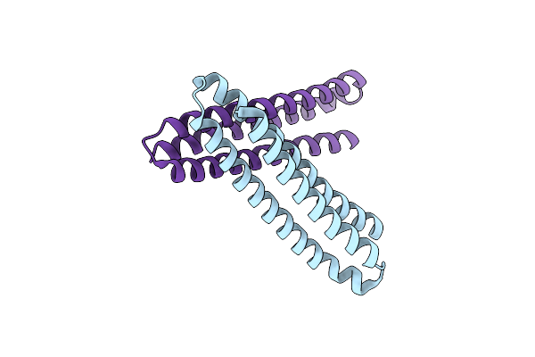 4L8I image