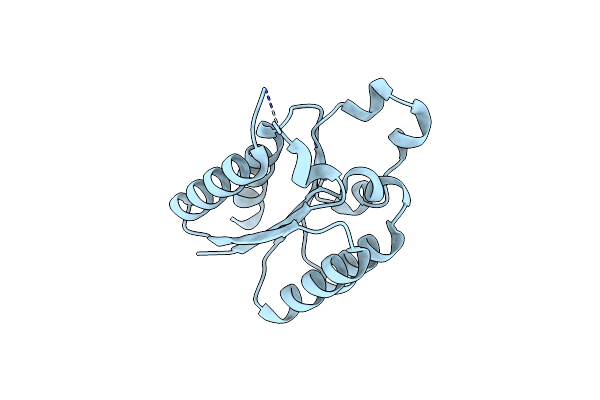 4L8L image