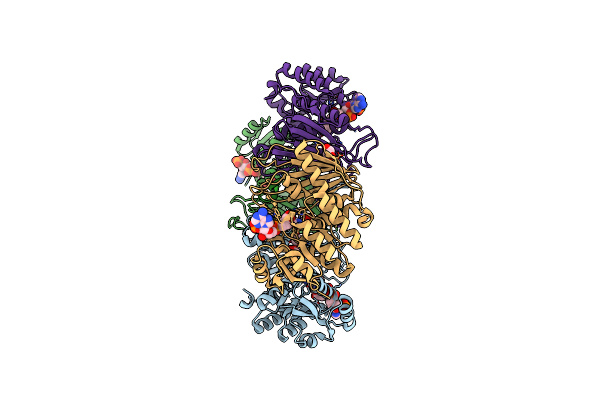 4L8V image