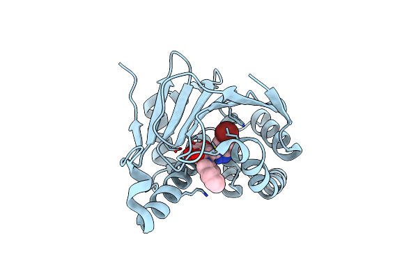 4L8Z image