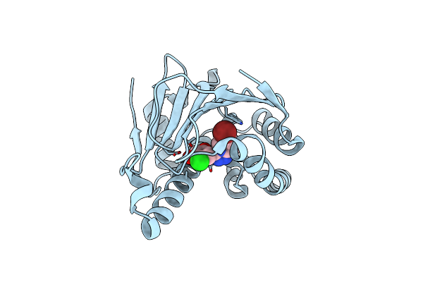4L91 image