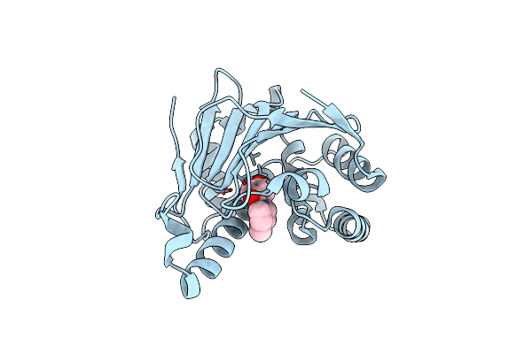 4L94 image