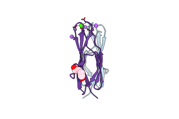4L9D image