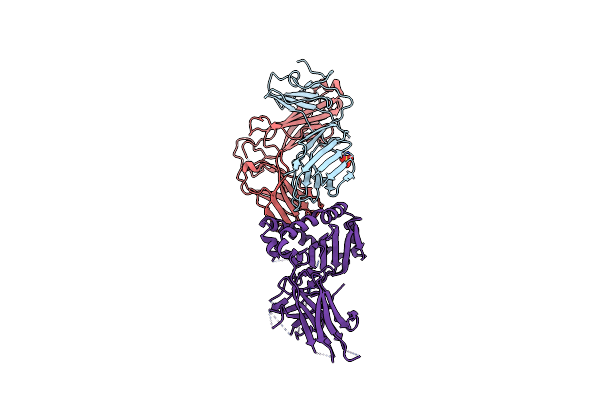 4L9L image