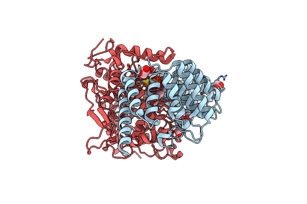 4L9P image